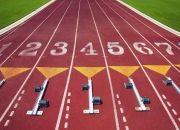 穆古鲁扎关键节点败北，瑞士队带队取胜！——逆境中的坚韧与团队精神